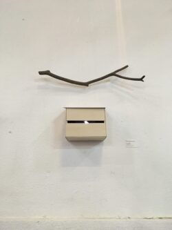 In memory of a nameless bird